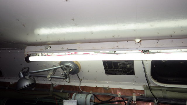 RIMG0099.jpg