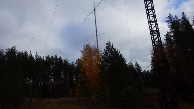 RIMG0105.jpg