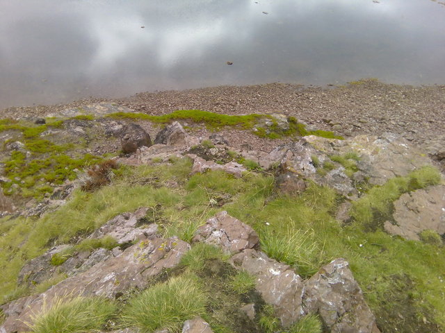 IMG_20150803_115055_1.jpg