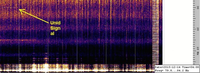 Unid 14.12.15 copy.jpg