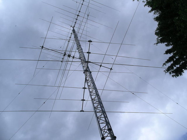ant-OH5DA-1.jpg