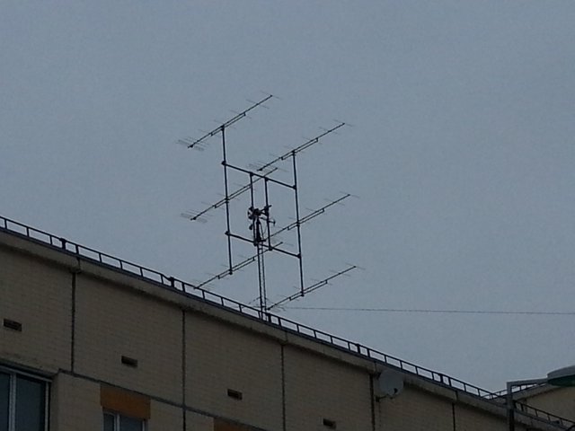20160222_112023_1024x768.jpg