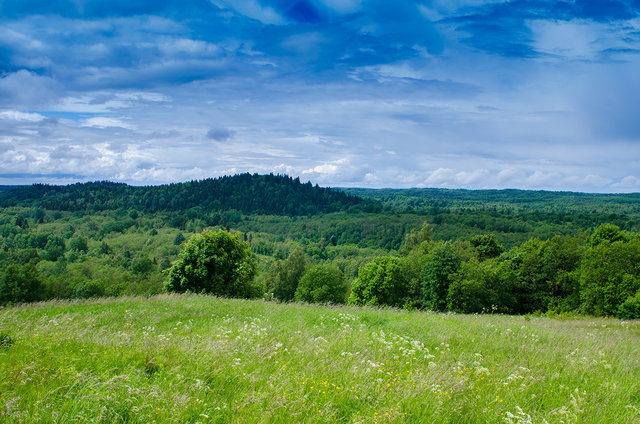 DVK_1215.jpg