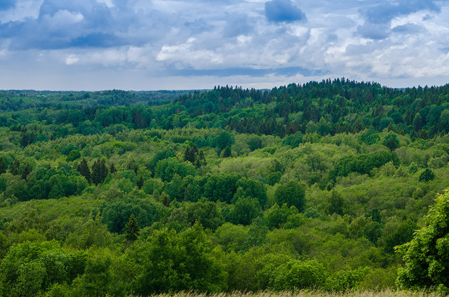 DVK_1227.jpg