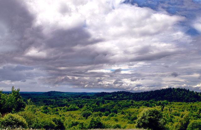 HDR4.jpg