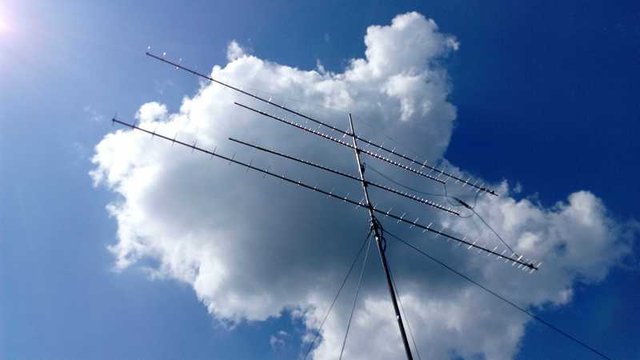 IMG222.jpg