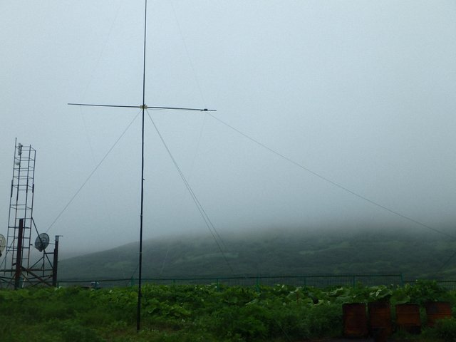 P7150453.jpg