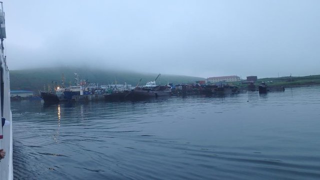 P7090392 (Copy).JPG