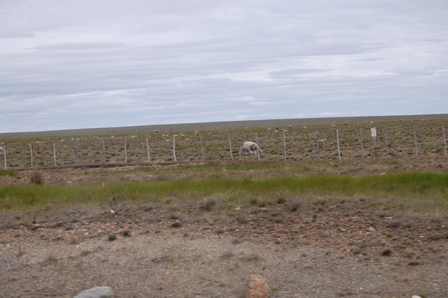 DSC_0864.jpg
