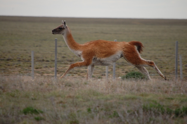 DSC_0898.jpg