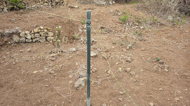 RIMG0359.JPG