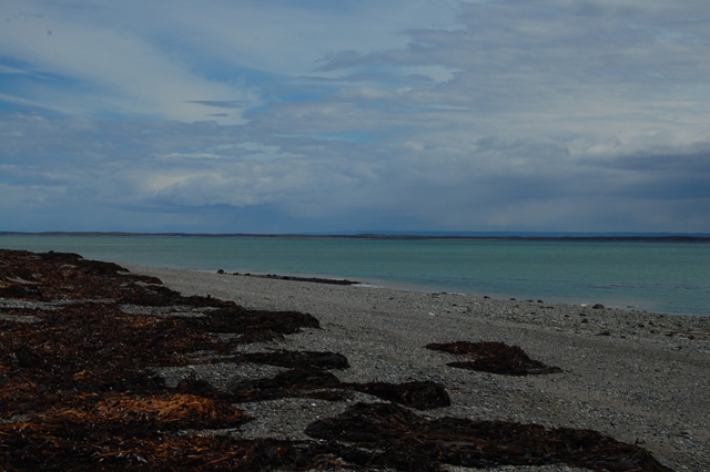 DSC_0095.jpg