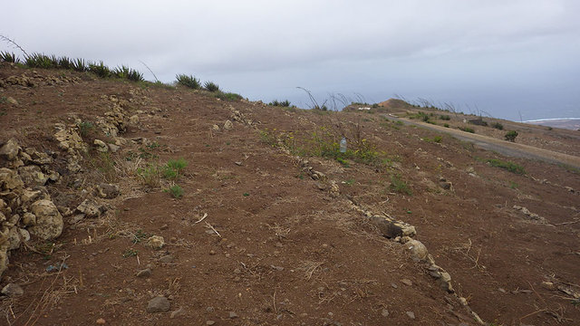 RIMG0399.JPG