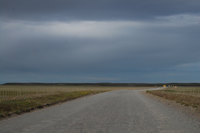 DSC_0246.jpg