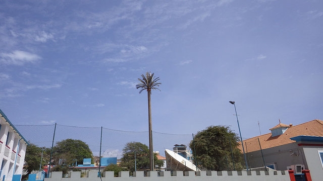 RIMG0767.JPG