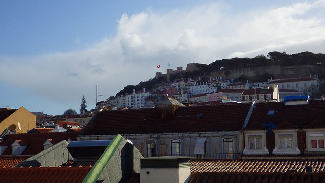RIMG0893.JPG