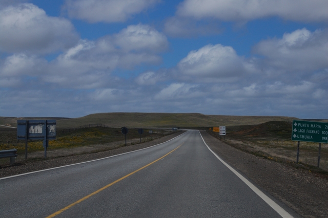 DSC_0437.jpg