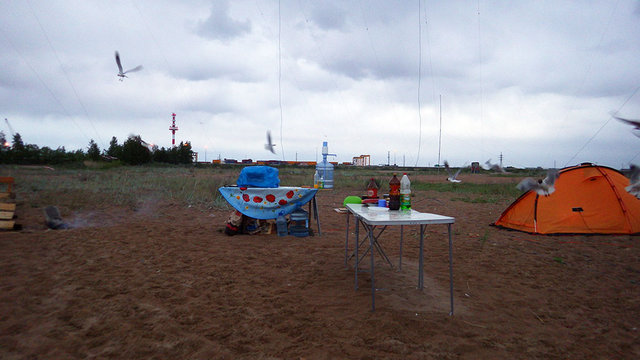 RIMG1230.JPG