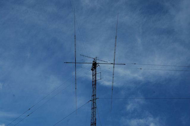 DSC_0174.jpg