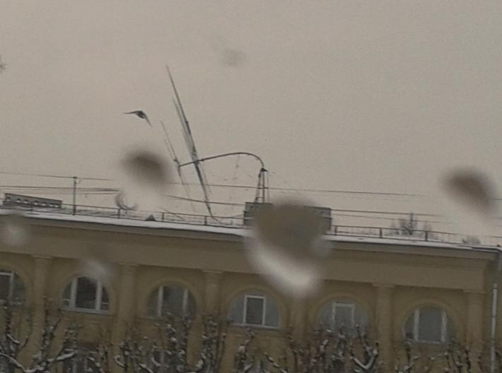 2012-01-14 13.25.09_.jpg