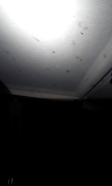 IMG-20170611-WA0000.jpeg