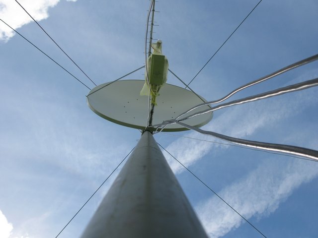 IMG_3966.JPG