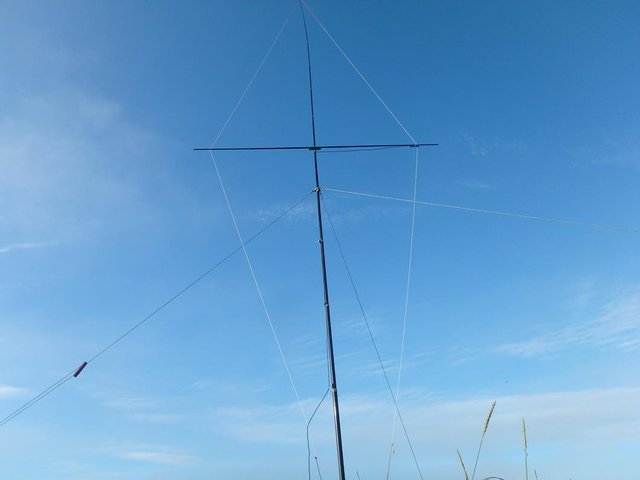 P8100587 (Copy).JPG