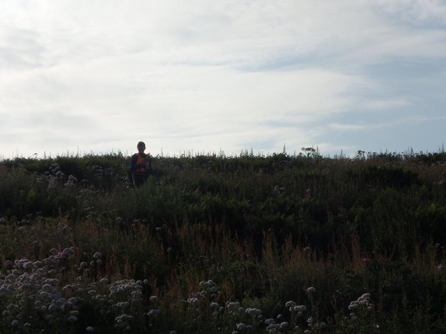 P8080526 (Copy).JPG