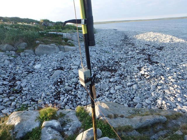 P8080542 (Copy).JPG