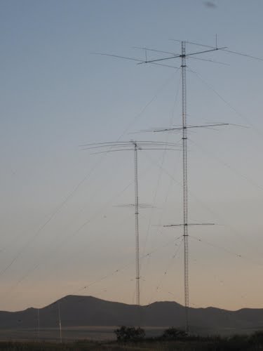 45011806.jpg