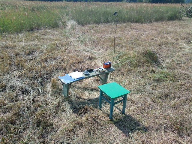 2018-08-15 10.56.54.jpg