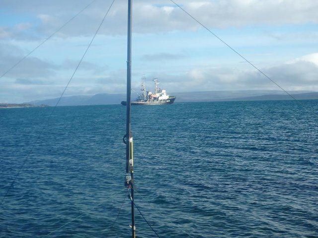 P8101407 (Copy).JPG