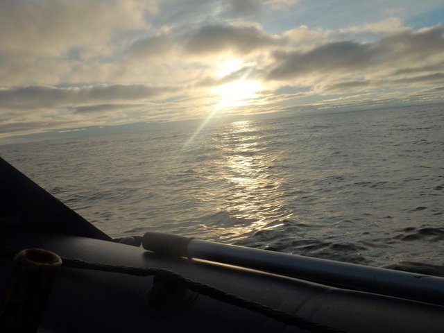 P8101421 (Copy).JPG