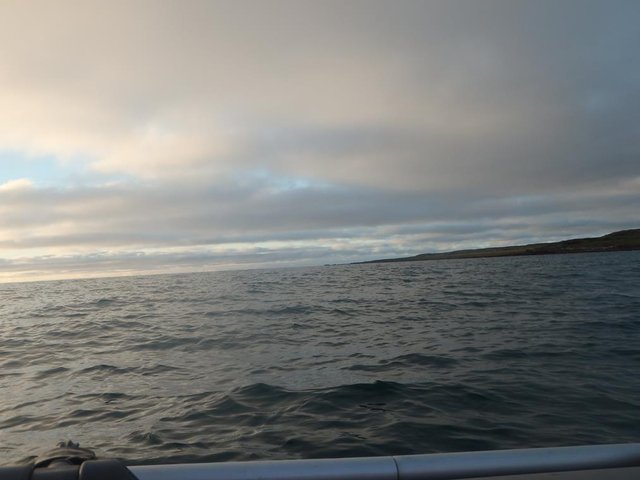 P8101423 (Copy).JPG