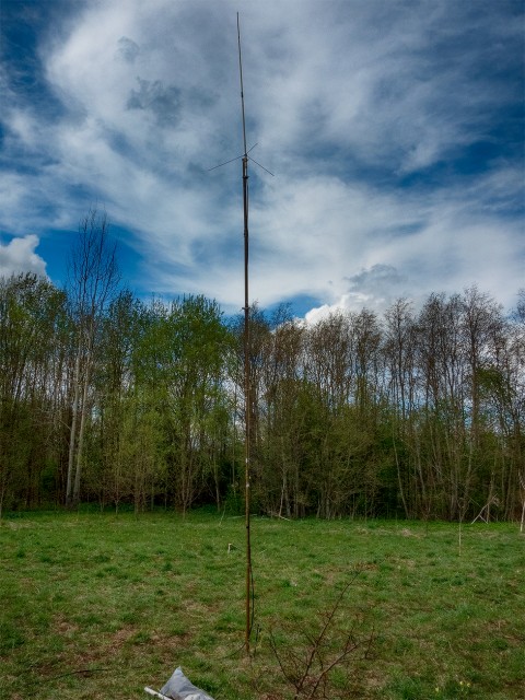 DSCN1256.jpg