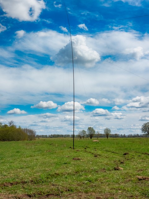 DSCN1227.jpg