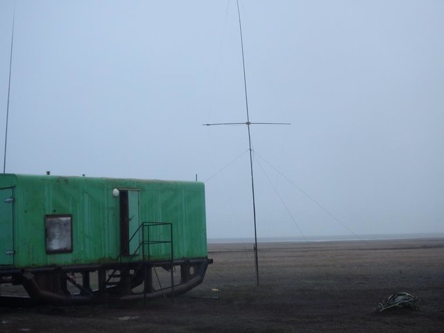P8151741 (Copy).JPG