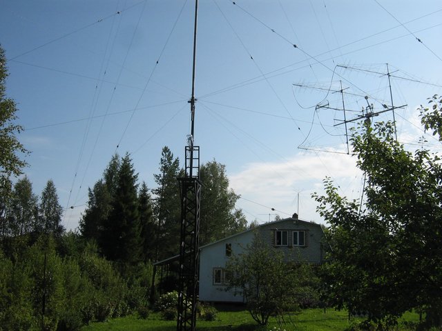 IMG_8334.jpg