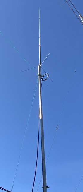 IMG_7298.JPG