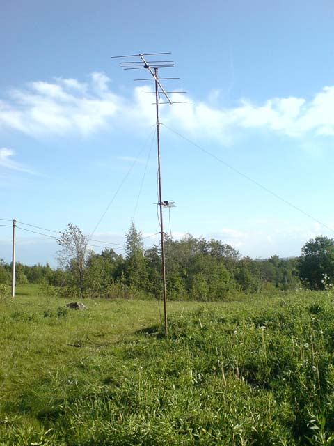 DSC00427.jpg