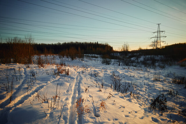 DSC00809.jpg