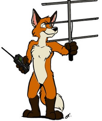 fox picture.jpg