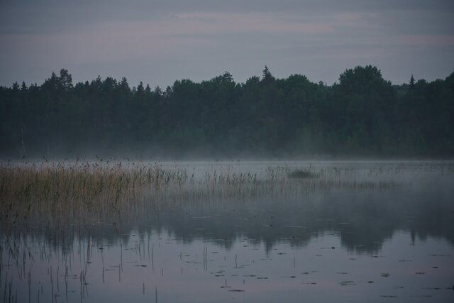 A6508070.jpg