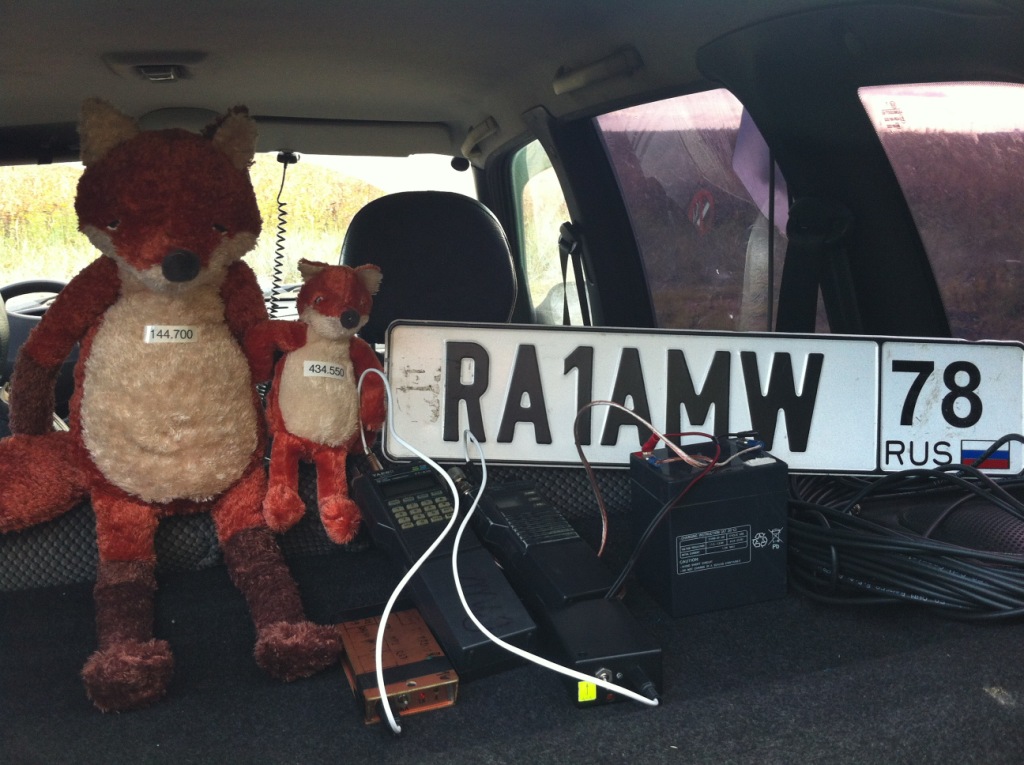 RA1AMWfox1.jpg