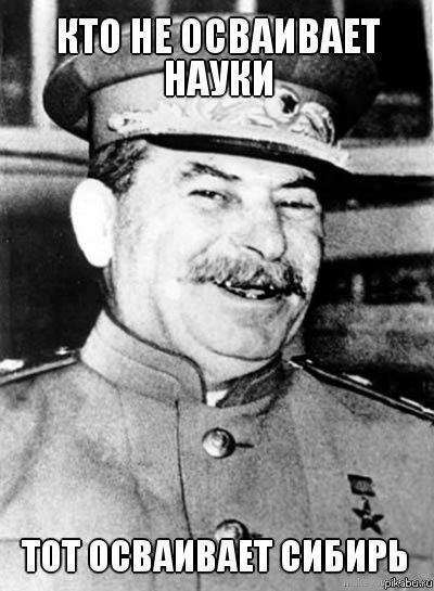 81odyiXWpXY.jpg
