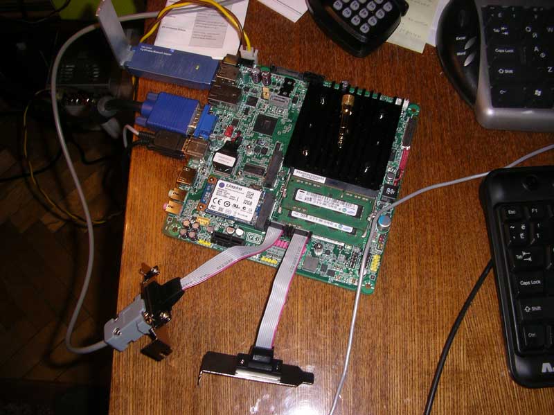 IMGP0003_1.jpg