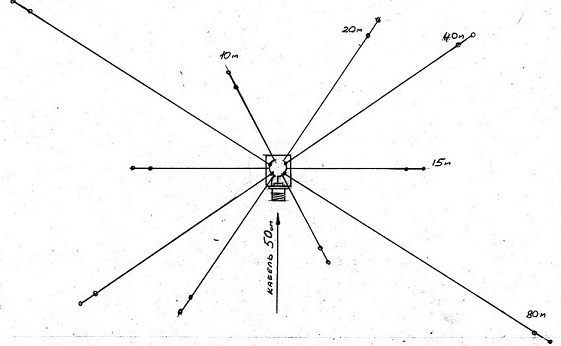 IMG.jpg