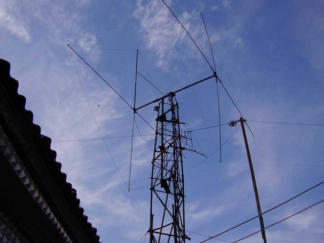 P8030149.JPG