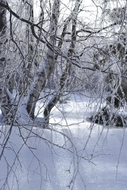 Kizhi_01_prev_431x648.jpg