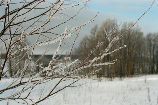 Kizhi_98_prev_648x430.jpg